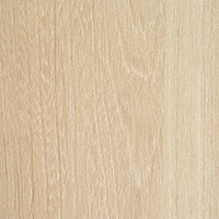 Light elm